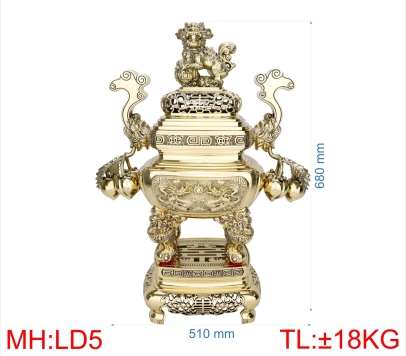 ĐỈNH LƯ ĐÀO 5 (6T8)