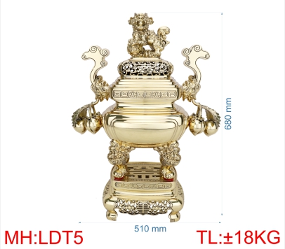 ĐỈNH LƯ  ĐÀO TRƠN 5 (6T8)