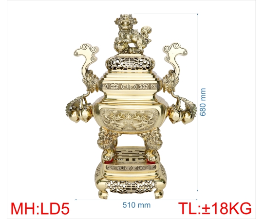 ĐỈNH LƯ ĐÀO 5 (6T8)