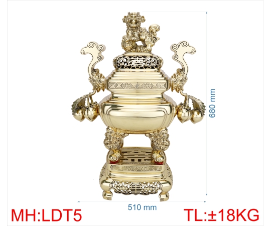 ĐỈNH LƯ  ĐÀO TRƠN 5 (6T8)
