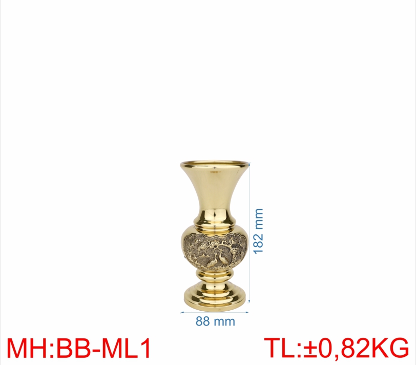 BÌNH BÔNG MAI LIỂU 1 (1T8)