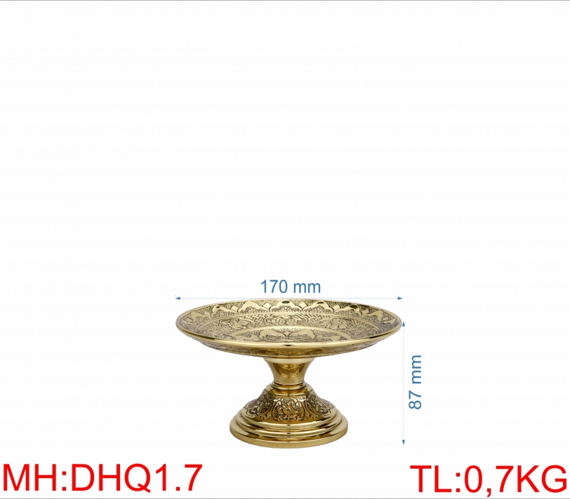DĨA HOA QUẢ 1 (1T7)