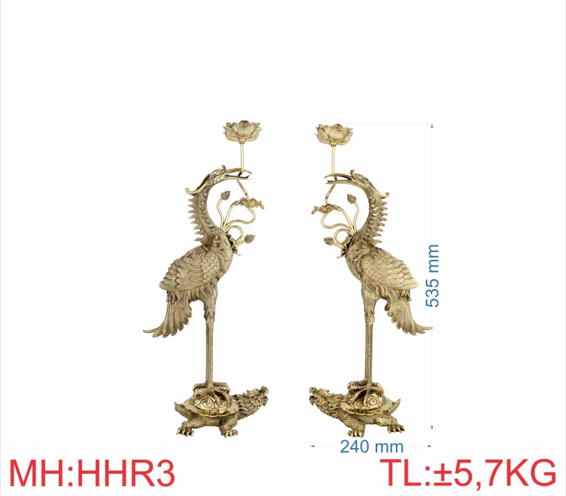 HẠC QUY HÓA RỒNG 3 (5T4)