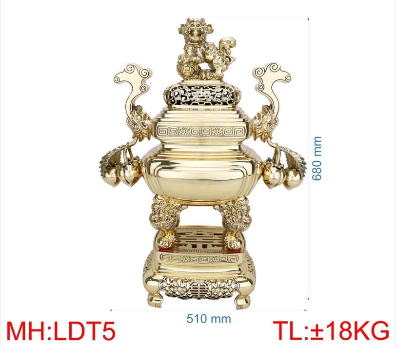 ĐỈNH LƯ  ĐÀO TRƠN 5 (6T8)